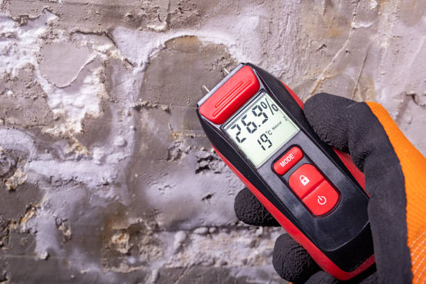 Best Affordable Mold Removal  in Blue Ridge, VA