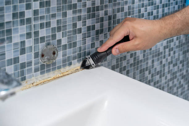 Best Attic Mold Removal  in Blue Ridge, VA