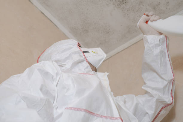 Best Mold Testing  in Blue Ridge, VA