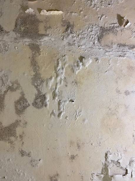 Best Water Damage Restoration  in Blue Ridge, VA
